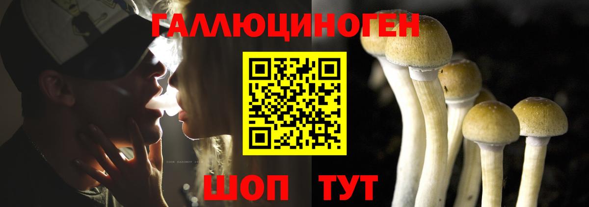 Псилоцибиновые грибы мухоморы  Вход с VPN  Галлюциногенные грибы прущие грибы  Малоярославец 